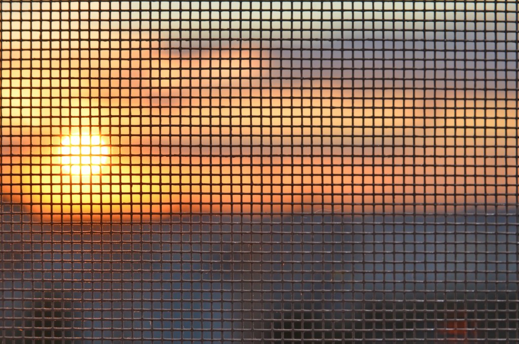 Sun setting behind a window insect screen, seen through the mesh